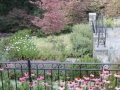 p7080045_375x500