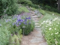 p7080052_375x500