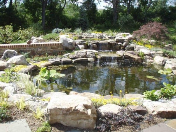 Patio-Terrace-Pond-p6230020_667x500 - Garden Architecture | Landscape ...