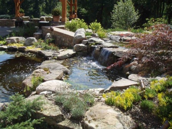 Patio-Terrace-Pond-p6230032_667x500 - Garden Architecture | Landscape ...